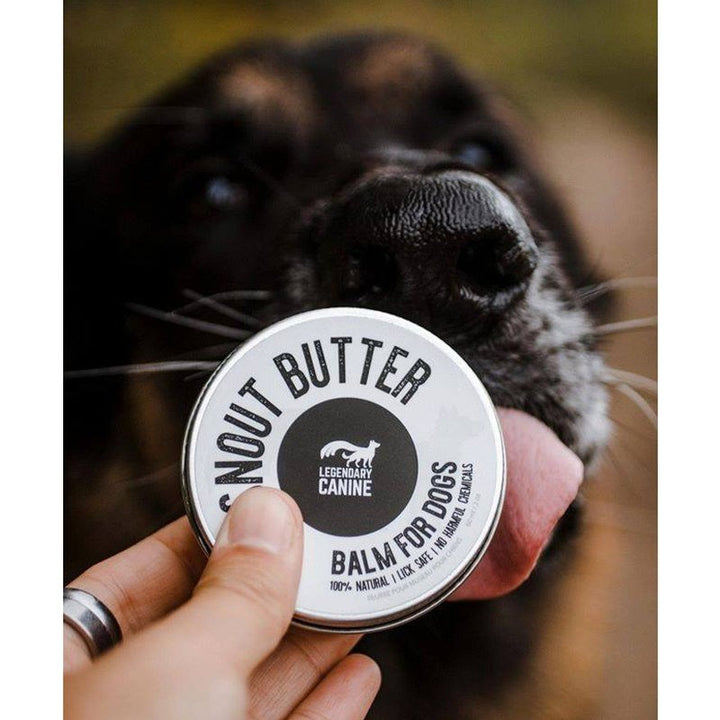 Legendary Canine Snout Butter 60ml