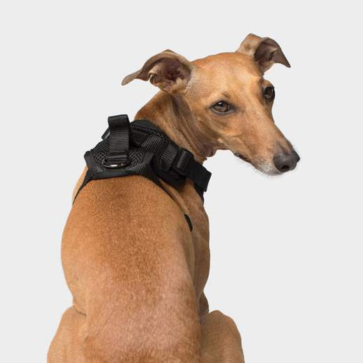 Canada Pooch Everything Harness Mesh Black or Pink