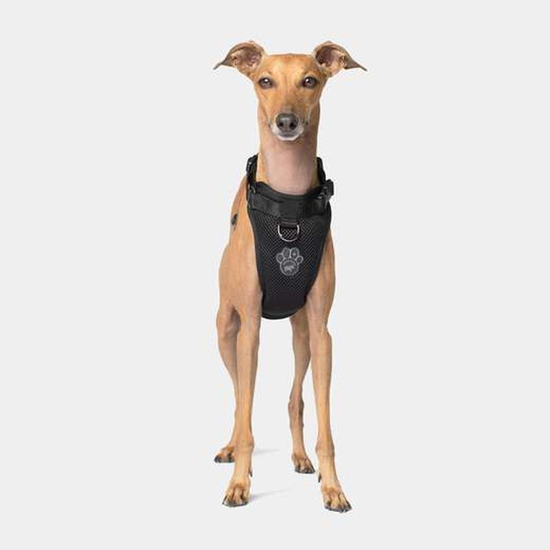 Canada Pooch Everything Harness Mesh Black or Pink