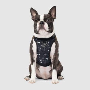 Canada Pooch Everything Harness Water-Resistant Splatter