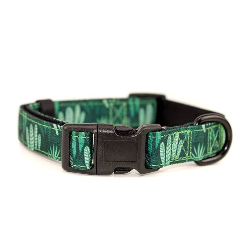 Dog on sale collars edmonton