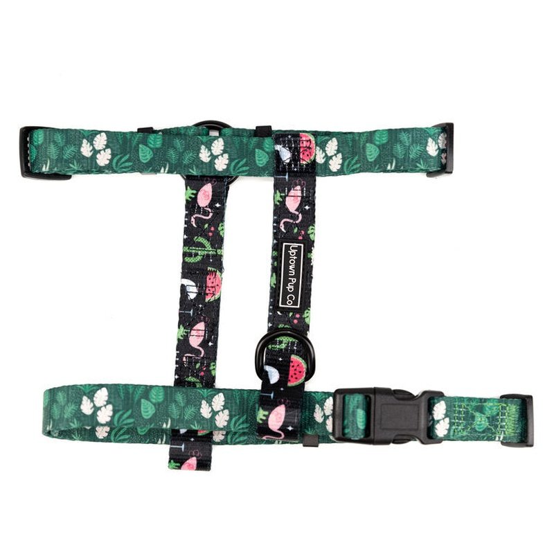 Uptown Pup Tropical Paradise H-Harness