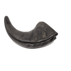 Water Buffalo Horn Small - approx 7"