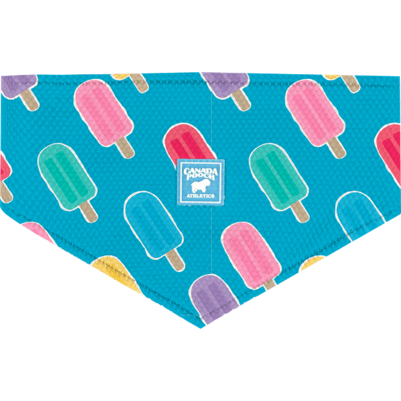 Canada Pooch Cooling Bandana Popsicles