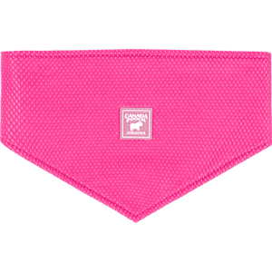 Canada Pooch Cooling Bandana Neon Pink