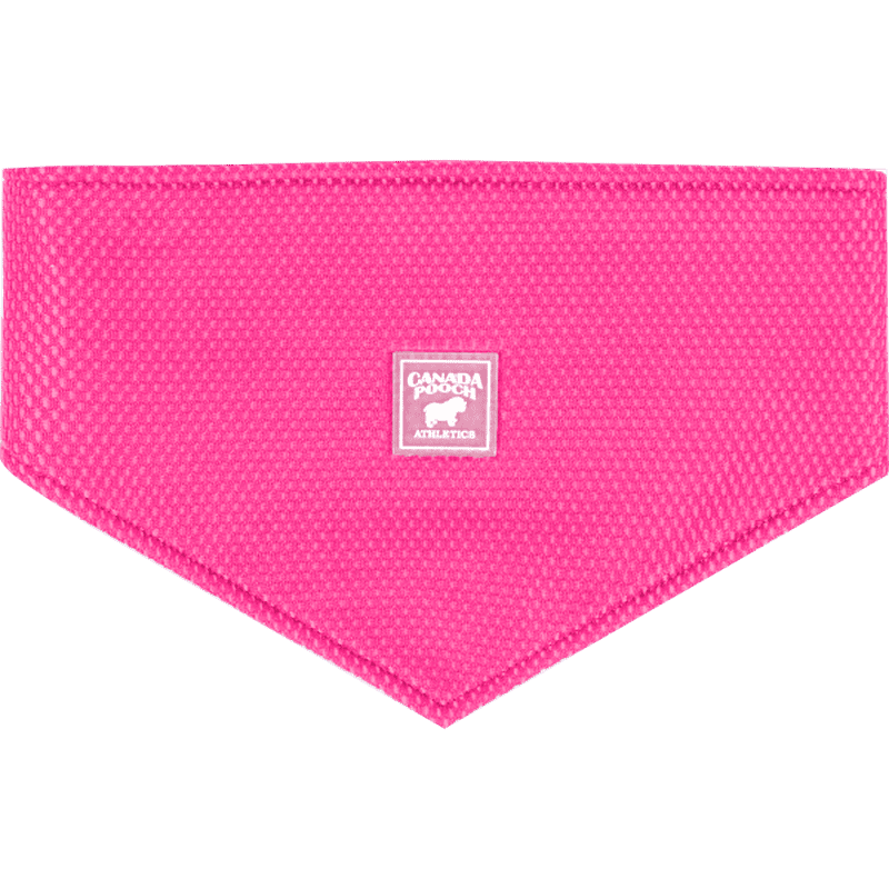 Canada Pooch Cooling Bandana Neon Pink