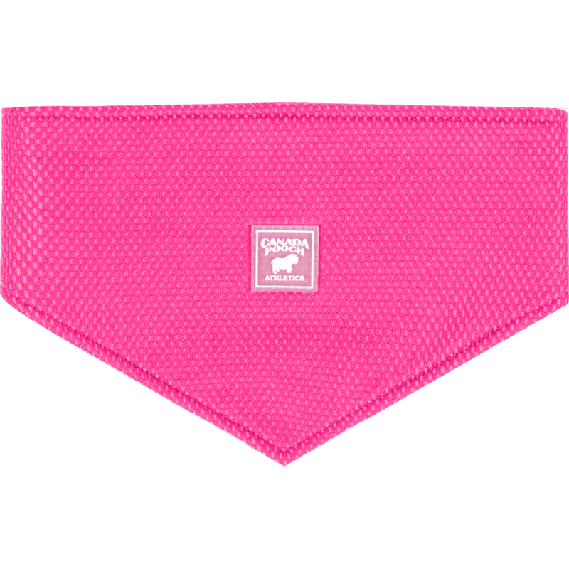 Canada Pooch Cooling Bandana Neon Pink Canada Pooch Cooling Bandana Neon Pink