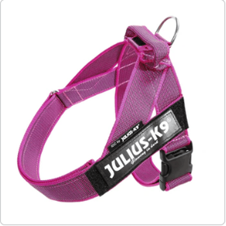 Julius K 9 IDC Power Harness Edmonton Dog Harness Poochie Moochie Poochie Moochie Pet Store West Edmonton
