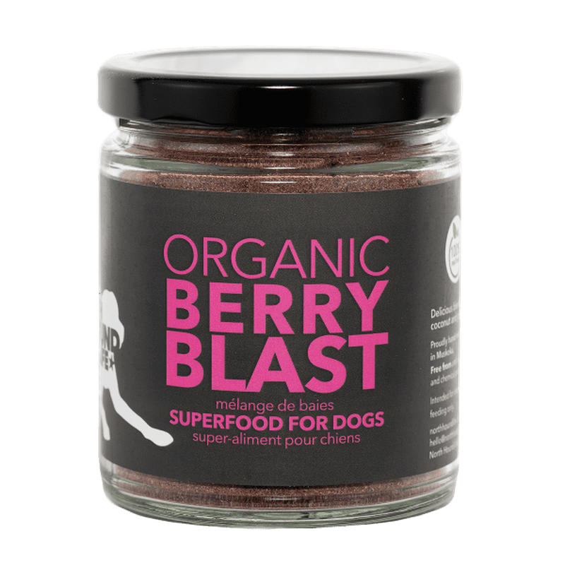 North Hound Life Dog Organic Berry Blast Boost 250mL