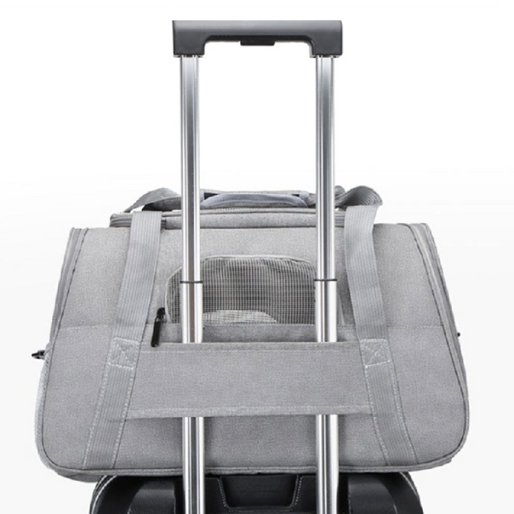 Pet Travel Carrier Bag
