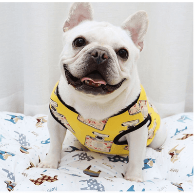 Cool Fashionista T-Shirts