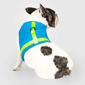 Canada Pooch Cooling Harness Blue