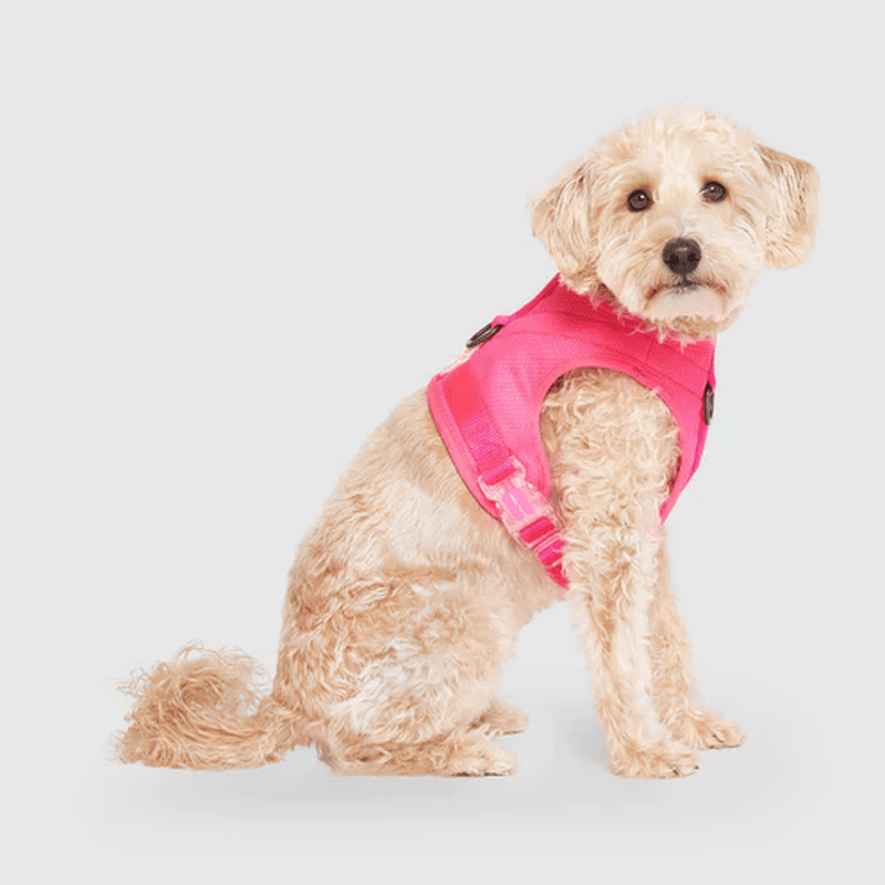 Neon pink dog harness best sale