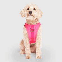 Canada Pooch Cooling Harness Neon Pink