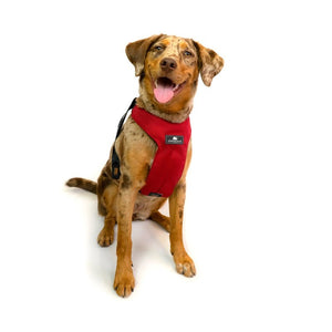 Clickit Sport - Travel Safety Harness