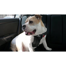 Clickit Sport - Travel Safety Harness