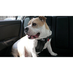 Clickit Sport - Travel Safety Harness