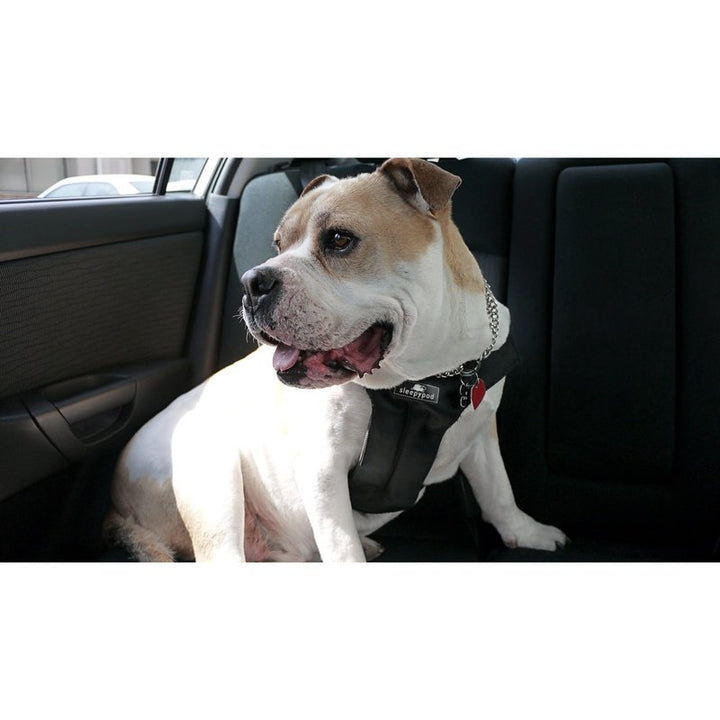 Clickit Sport - Travel Safety Harness