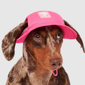 Canada Pooch Cooling Hat - Blue or Pink