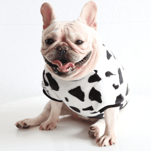Plush Cowprint Sweatshirt