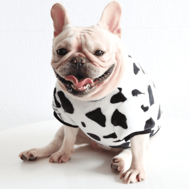 Plush Cowprint Sweatshirt