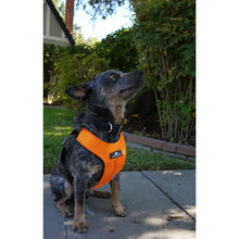 Clickit Sport - Travel Safety Harness