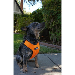 Clickit Sport - Travel Safety Harness