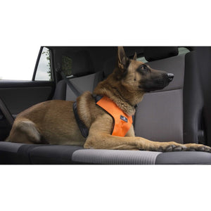 Clickit Sport - Travel Safety Harness