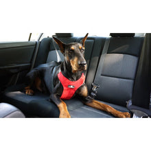 Clickit Sport - Travel Safety Harness