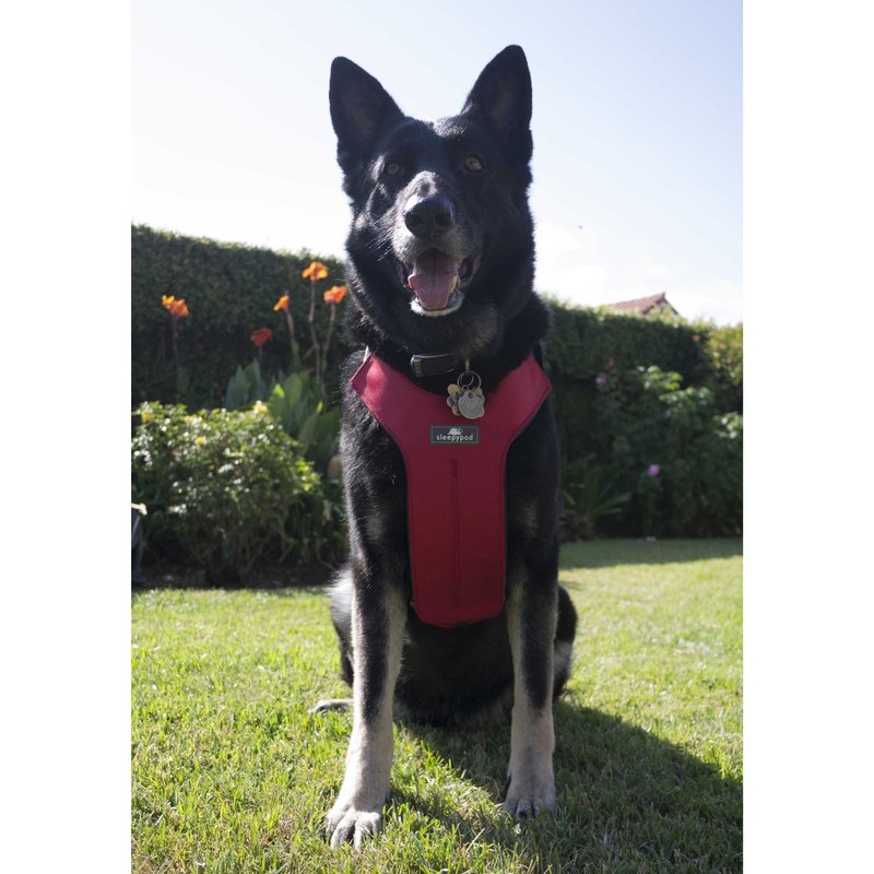 Clickit Sport Travel Safety Harness Edmonton Dog Travel Safety