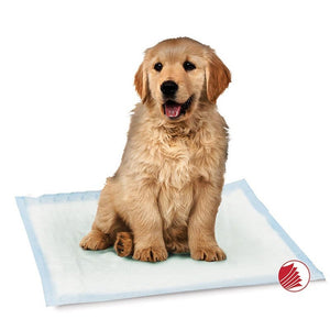 Simply Essential Training Pads SCARS
