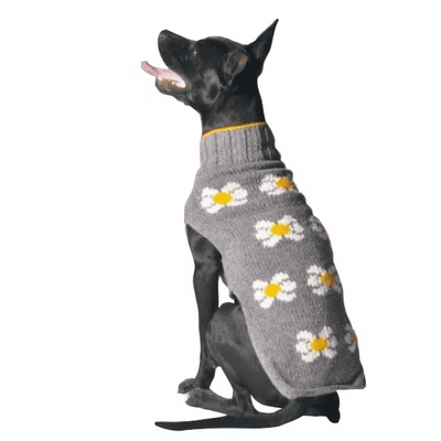 Chilly Dog Grey Daisy Dog Sweater