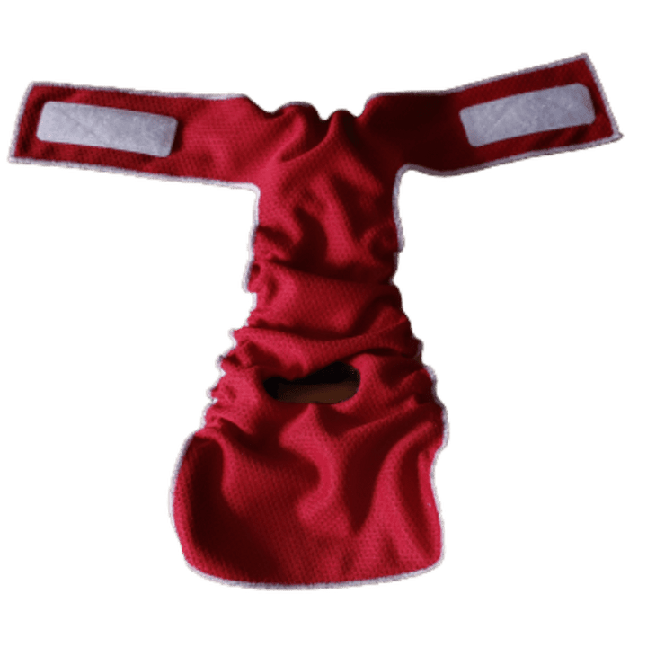 Jack & Jill Dog Diapers - No Hole