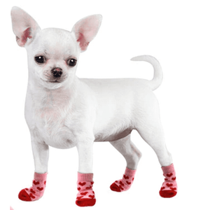 Nonskid Dog Socks - Assorted