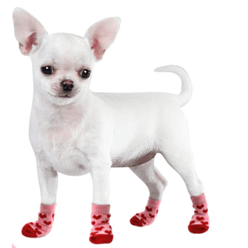 Long dog socks deals