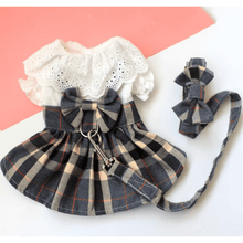 Matching Dress & Leash