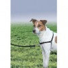 Easy Walk® Harness, No Pull Dog Harness in Black