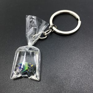 Fish in a Bag Resin Keychain