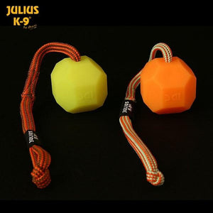 Julius K9 Fluorescent Training balls