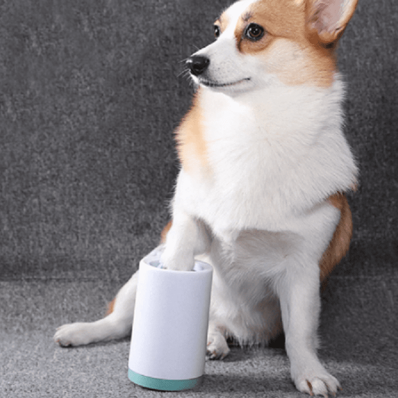 Dog Foot Washer Poochie Moochie Pet Store West Edmonton