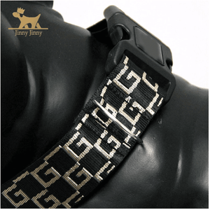 Luxury Collar/Leash Set Black/Gold