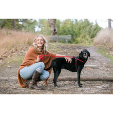 HarnessLead Leash - Gentle 'All in One' for No Pull/No Escape Walking
