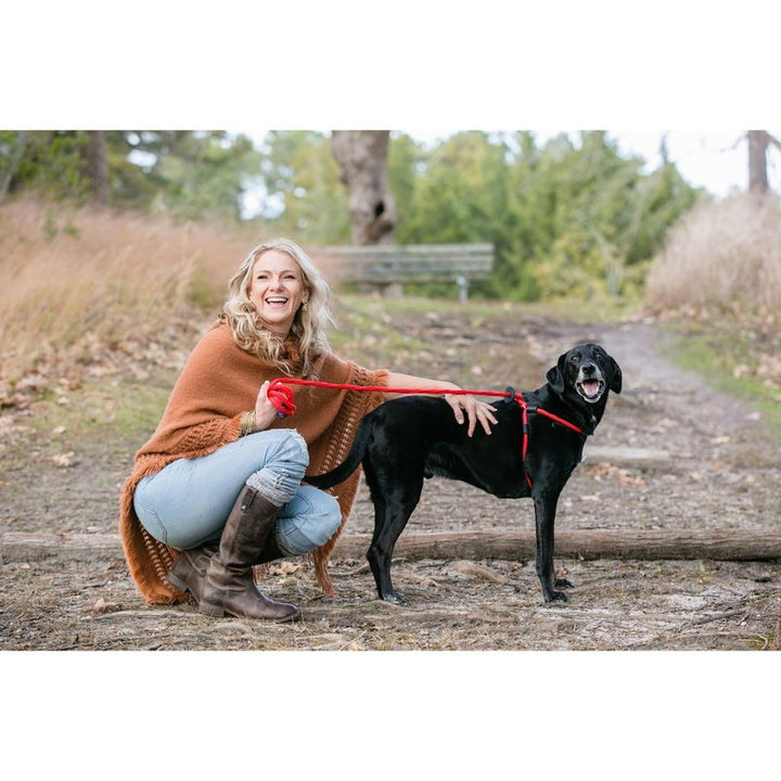 HarnessLead Leash - Gentle 'All in One' for No Pull/No Escape Walking