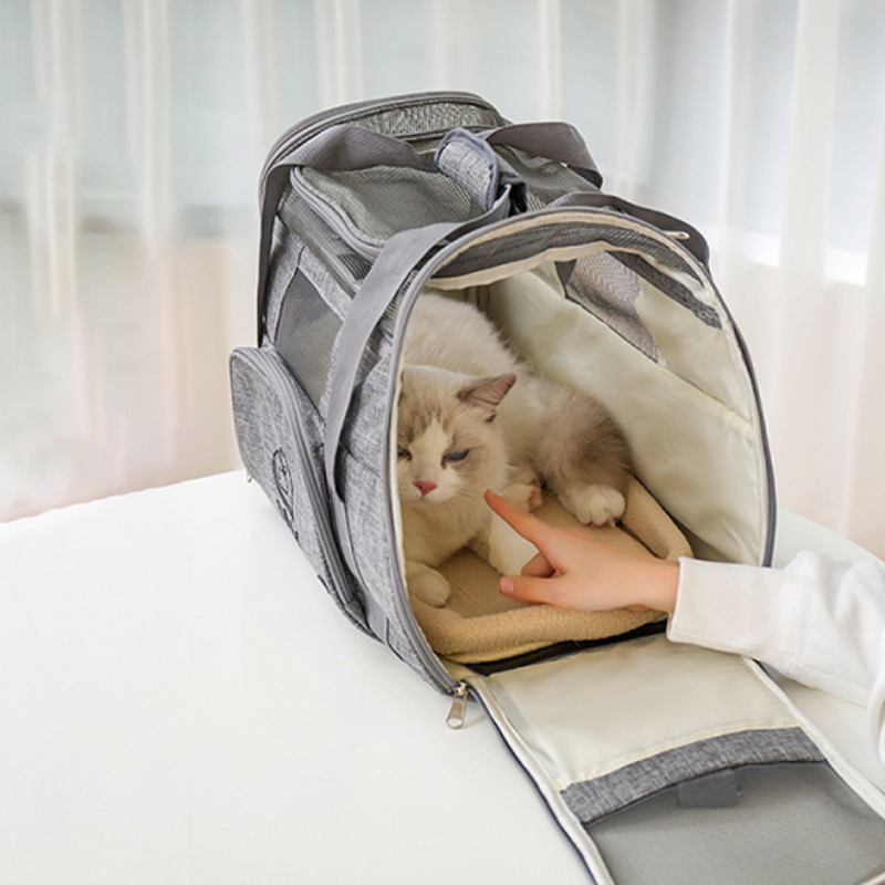 The 6 Best Airline-Approved Pet Carriers of 2023, Tested and Reviewed