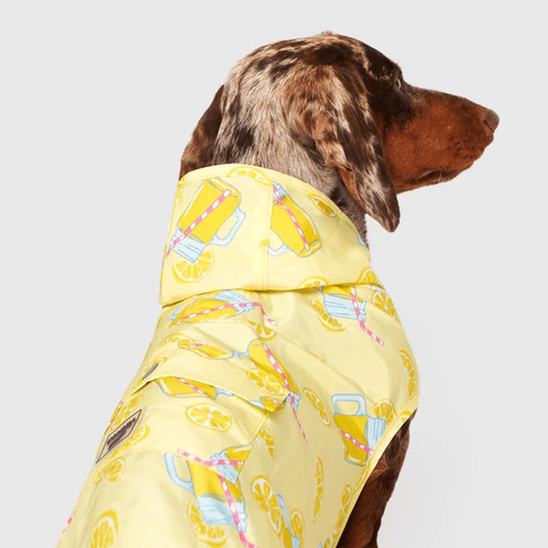 Canada 2025 pooch raincoat