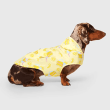 Canada Pooch Pick Me Rain Poncho Lemonade