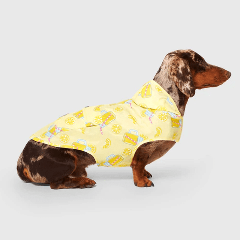 Canada pooch top dog raincoat
