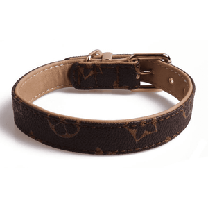 Fashion Collars
