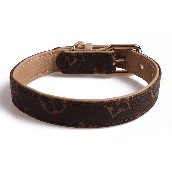 Fashion Collars