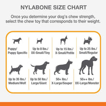 Nylabone Power Chew DuraChew Textured Bone Flavor Medley - 2 sizes